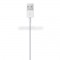Apple OEM Lightning USB Cable - White